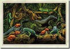 Lizard Postcard